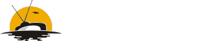 Ziiptv Logo